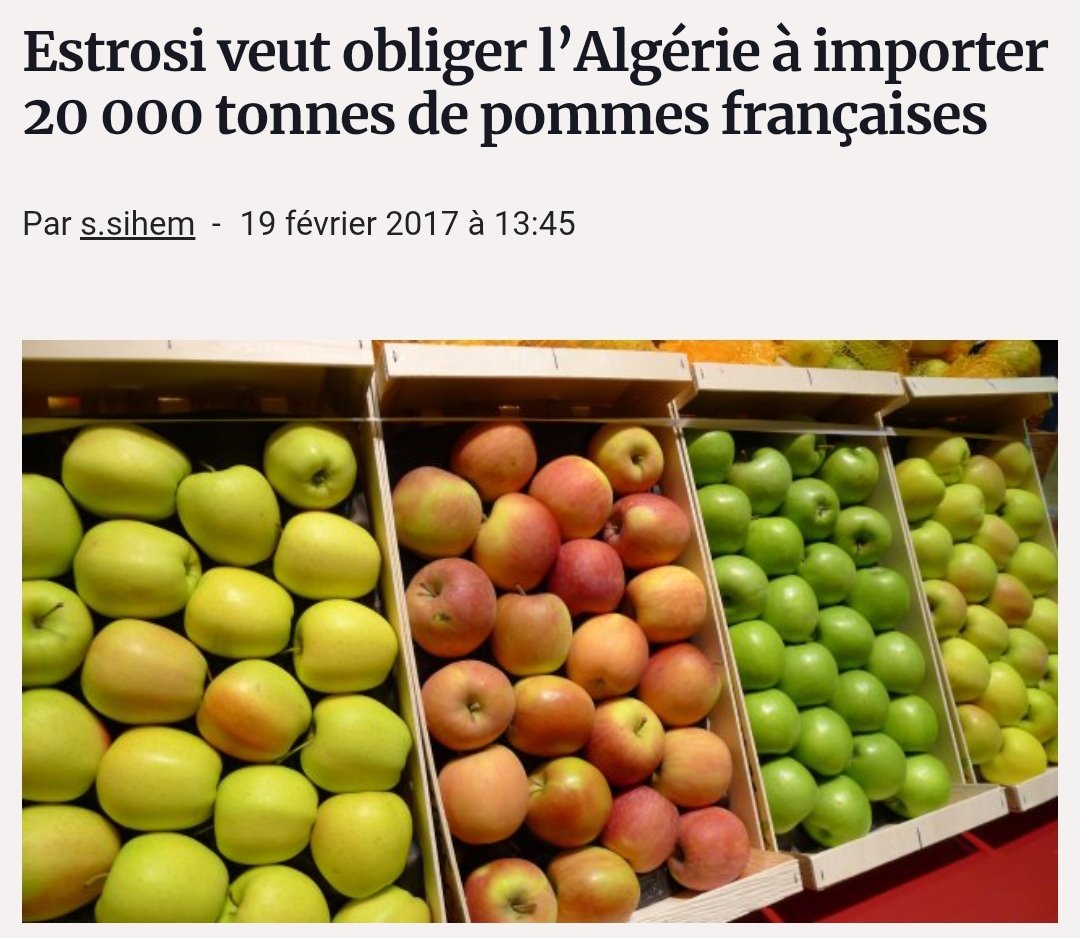 Glorious Algeria tweet media