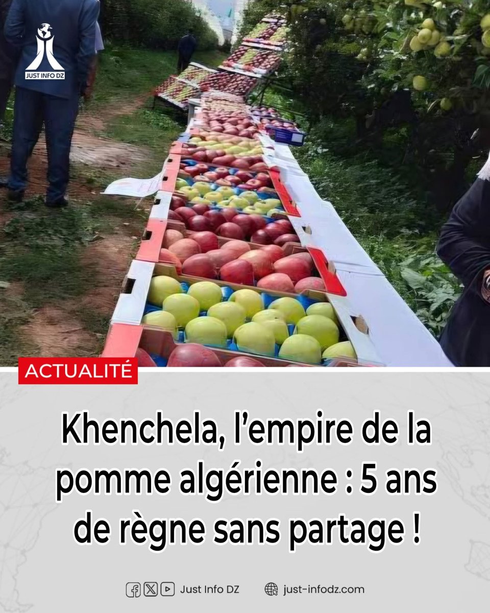 Glorious Algeria tweet media