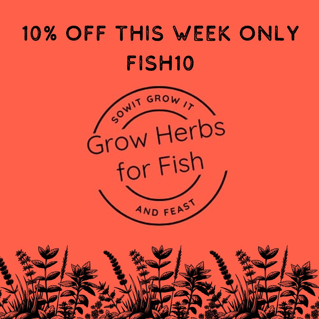 SowGrowFeast's tweet photo. 🌿🐟 Fresh flavours start at home 🐟🌿

Enjoy 10% off this week only with code FISH10 🌱

Start growing today 👇
https://t.co/DnuQyPUmC4
#GrowYourOwn #HerbGarden #FreshFlavours #HomeGrown #GardenToTable #SowGrowFeast https://t.co/tyL6hhJkAh