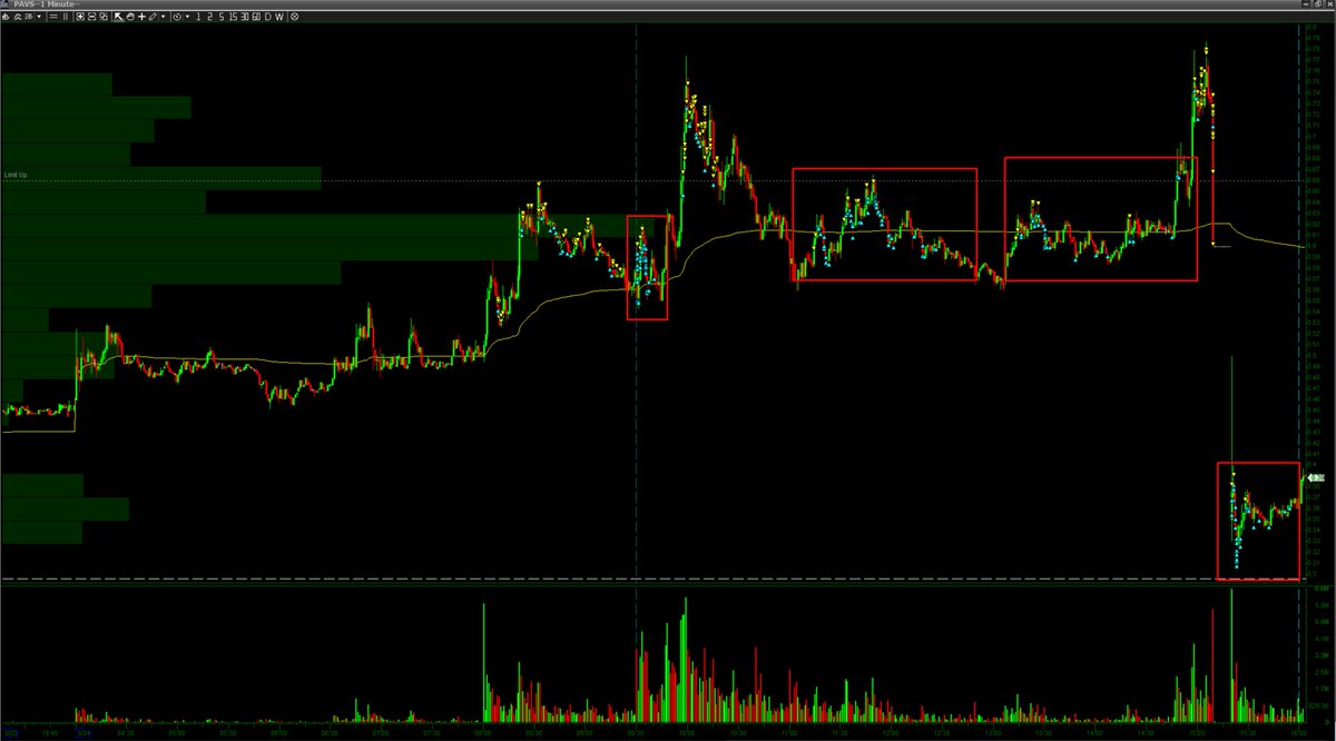 Xavier Comas tweet media