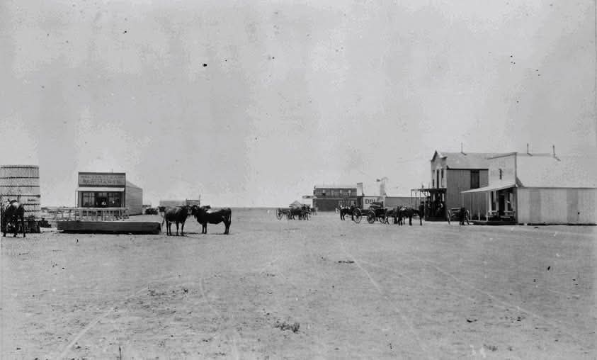 Shawn Dedalus .·. 🇺🇲 ⚓ tweet media