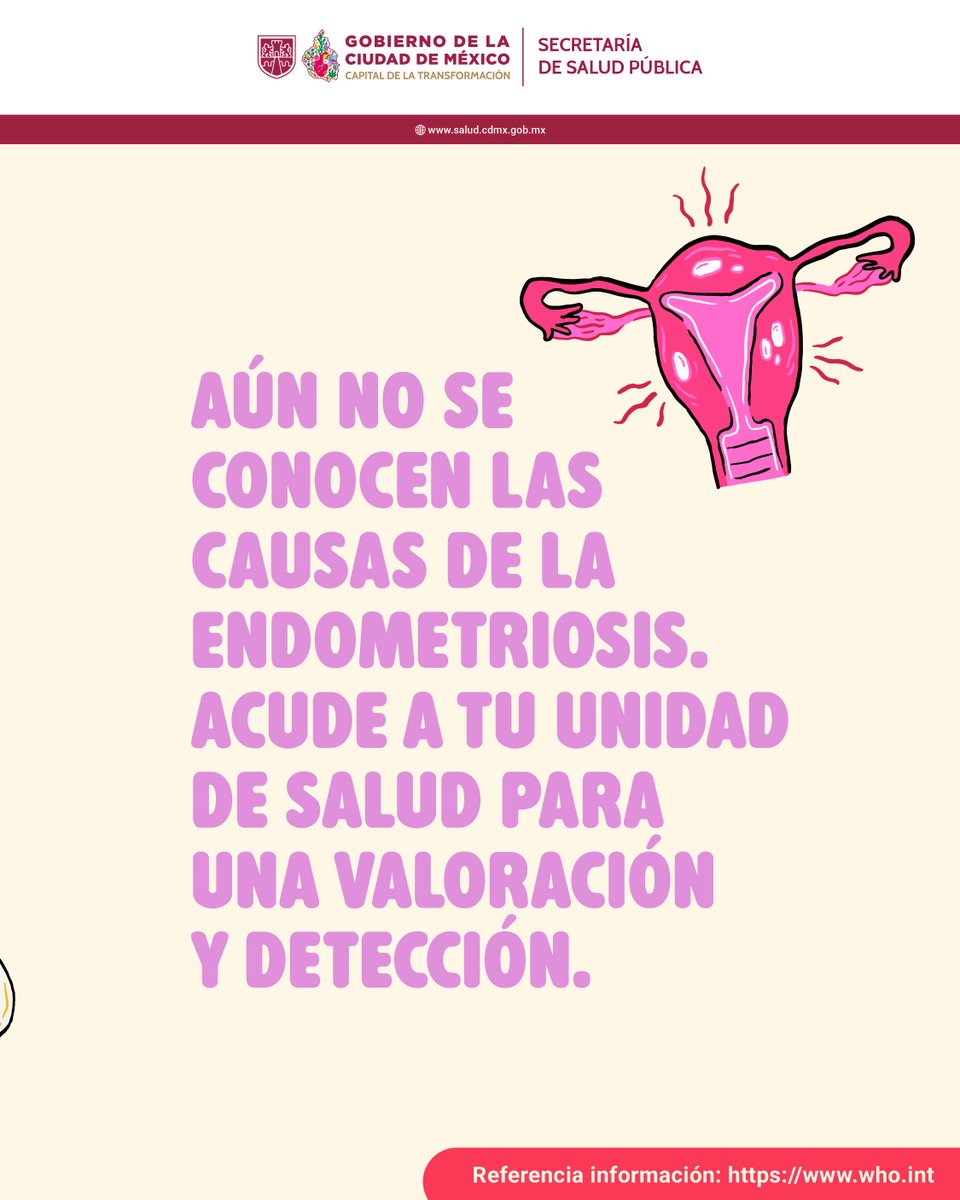 Secretaría de Salud Pública de la Ciudad de México tweet media