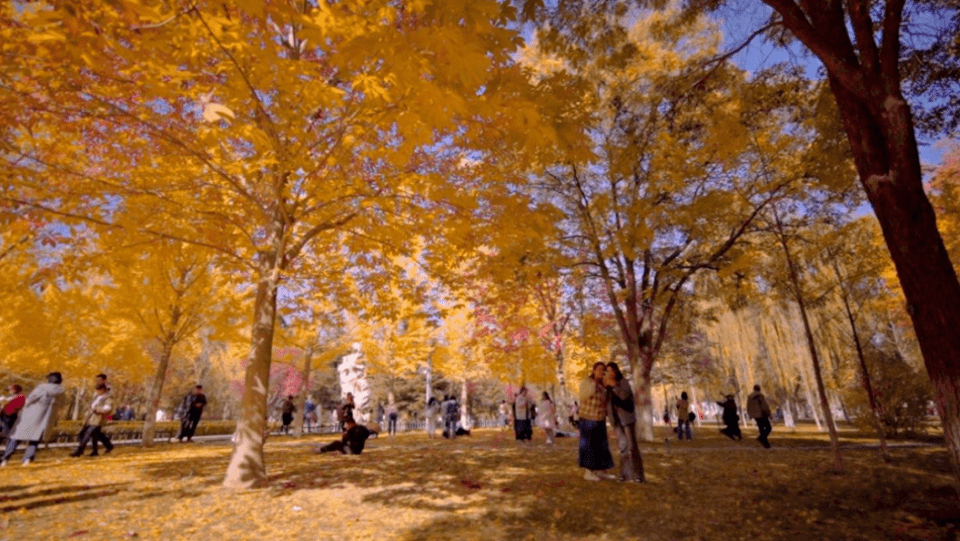 samuel oluwa tweet media