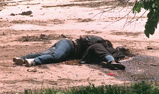 Domestikovaná striga tweet media