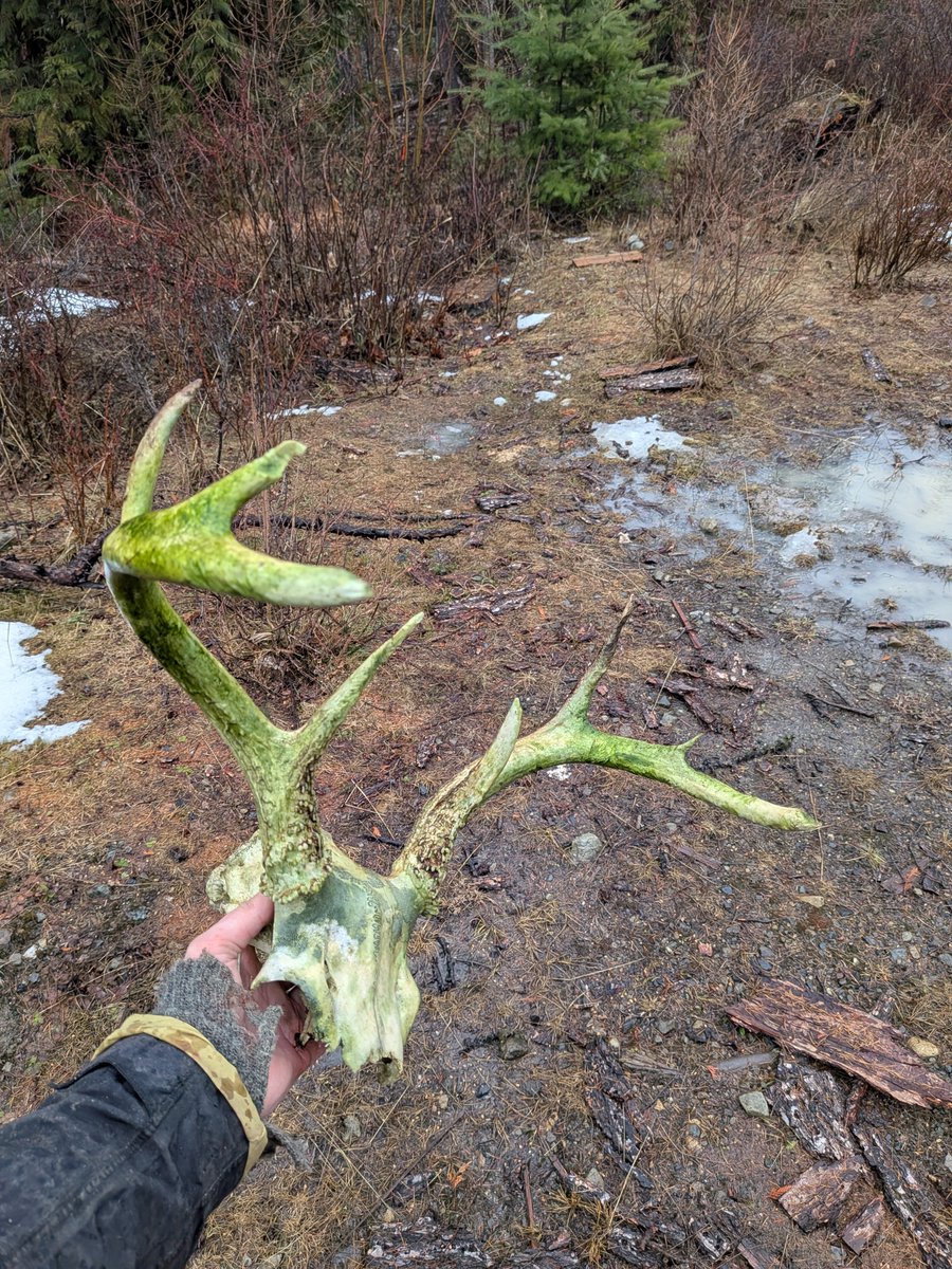 Demon Realms tweet media