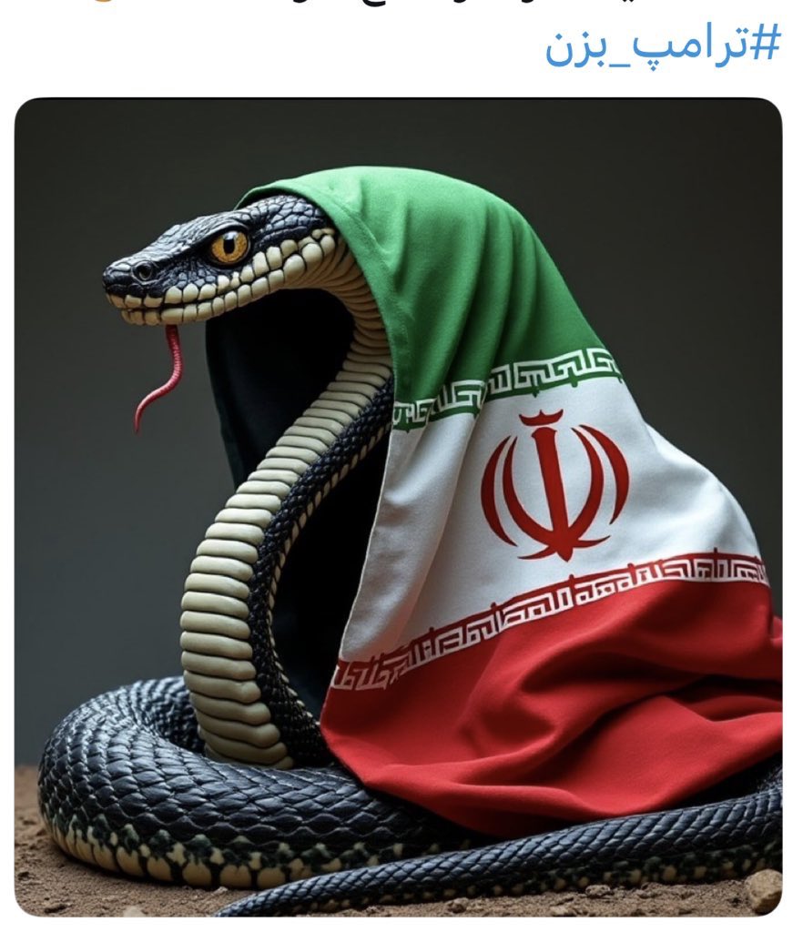 M. Reza Rahmani tweet media