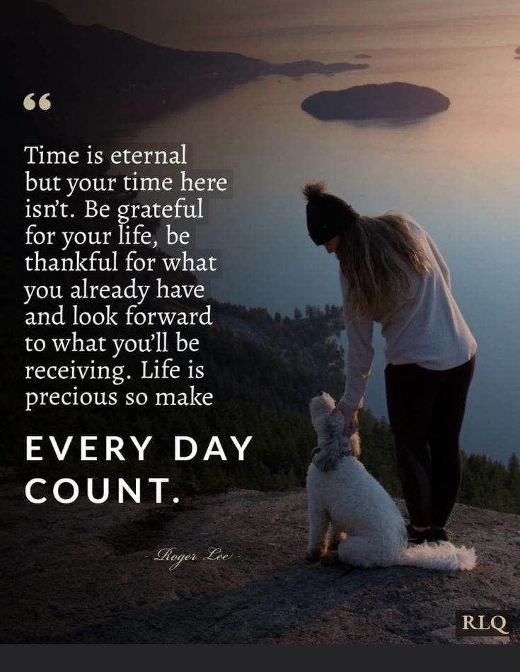 Lizzie 💚💙🐦🇪🇺🇯🇴 tweet media