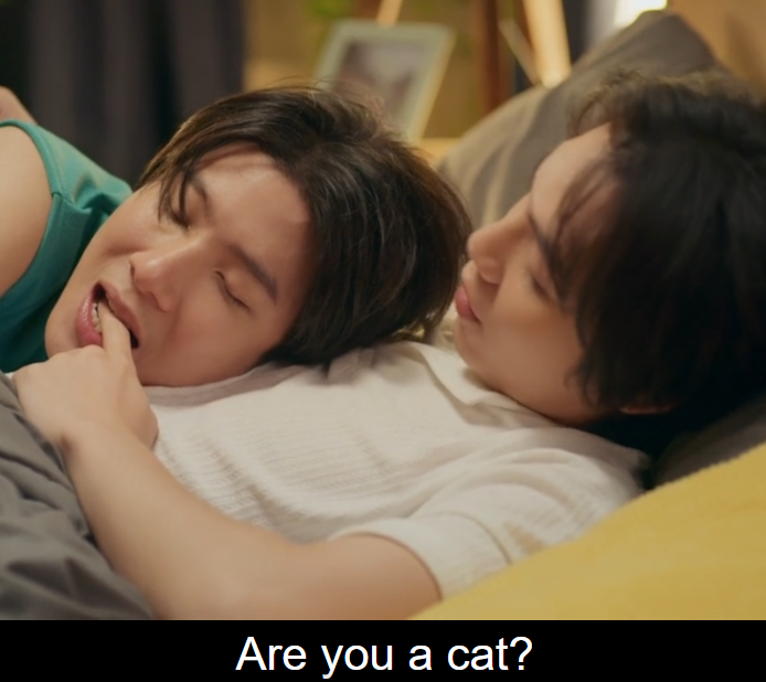 ƶαƶ 🦈🐱 tweet media