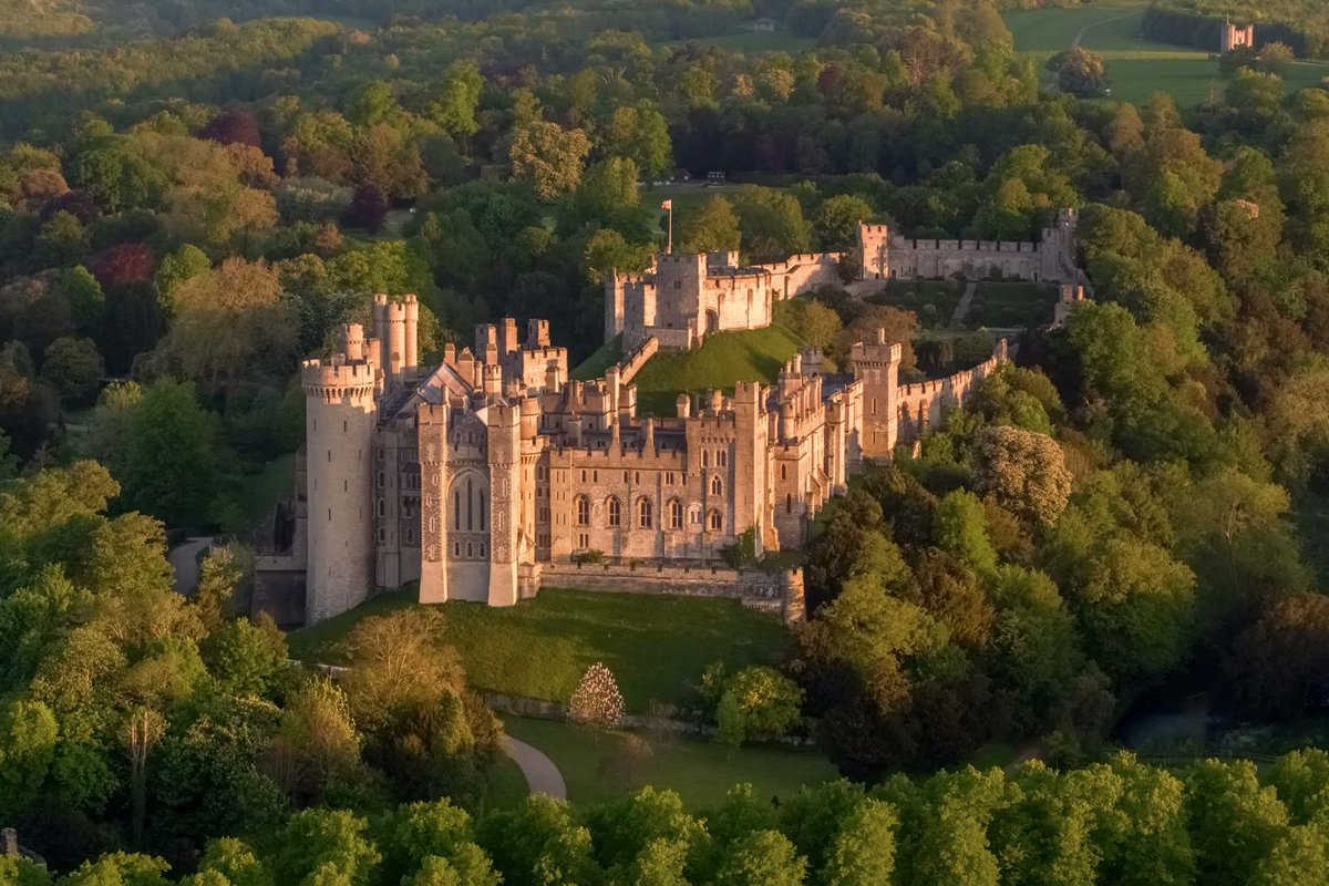 Art - Photography and Music tweet media