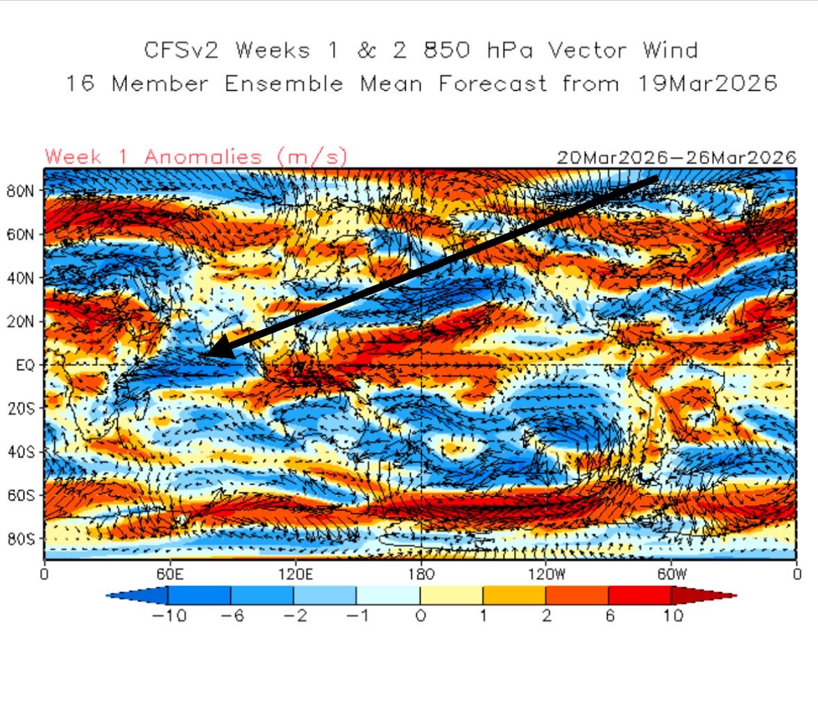 Rashid_Almethen tweet media