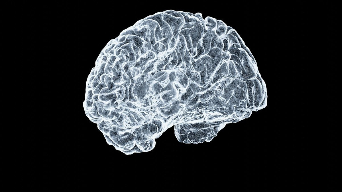 Ayer participé en el taller “Neurodiversity at Work: A Gender Perspective” en la OIT (ILO), un espacio de reflexión muy valioso sobre la intersección entre neurodiversidad, género y trabajo
tr.ee/ZHh00l
#Neurodiversidad #Inclusión #Género #Diversidad