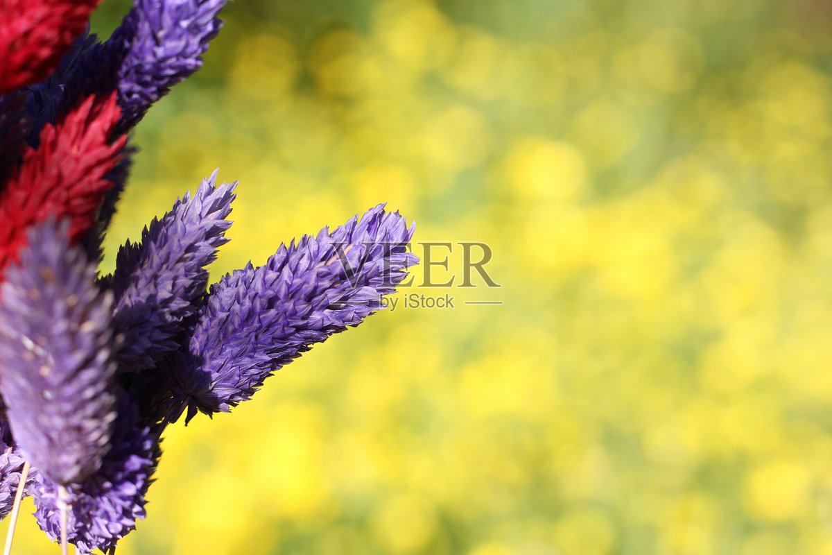 Сергей Вяльцев tweet media