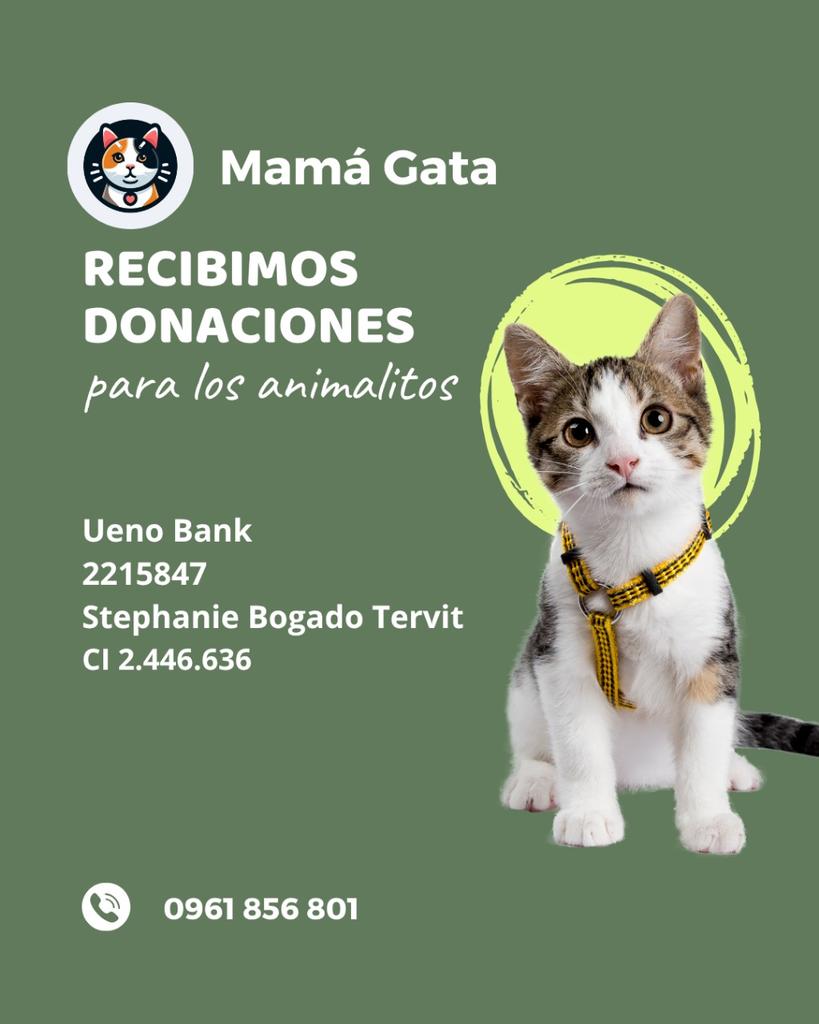 Stephie Bogado Tervit #80547 tweet media