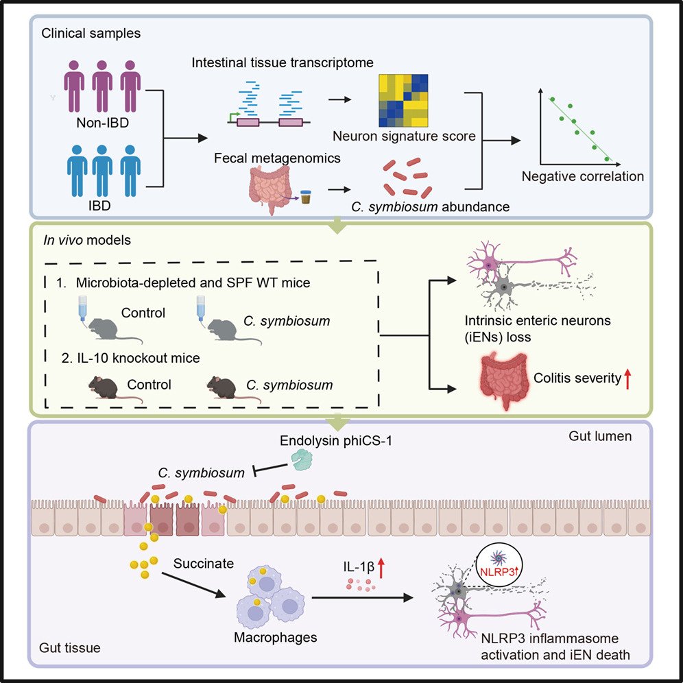Cell Host & Microbe tweet media