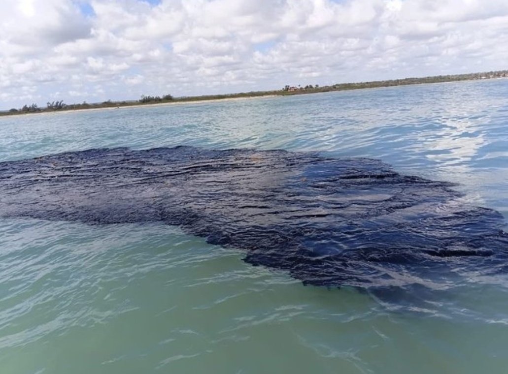 Greñalda tweet media