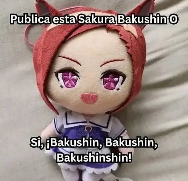 Sakura Bakushin O Archives tweet media