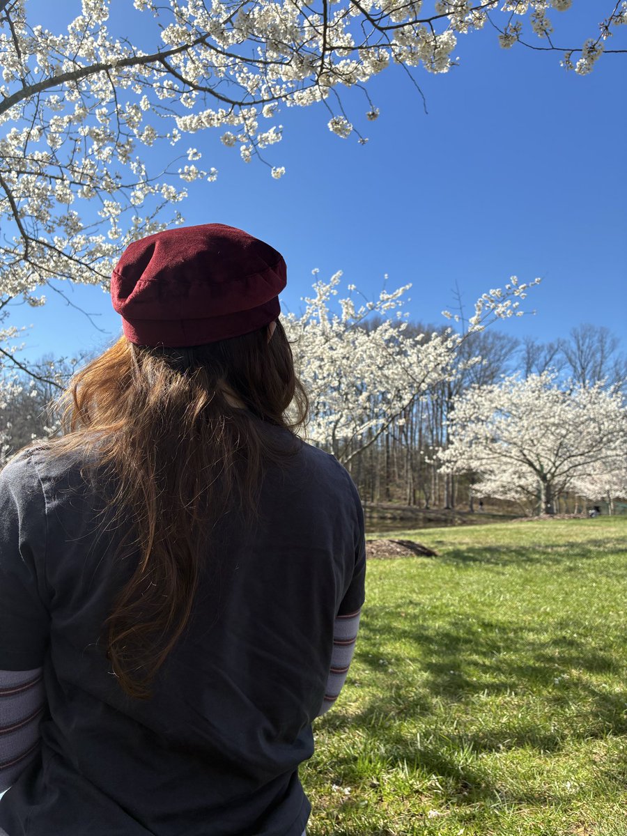 rfs2nd's tweet photo. First spring without blue bonnets, cherry blossoms will have to do. https://t.co/lnVzXbnstJ