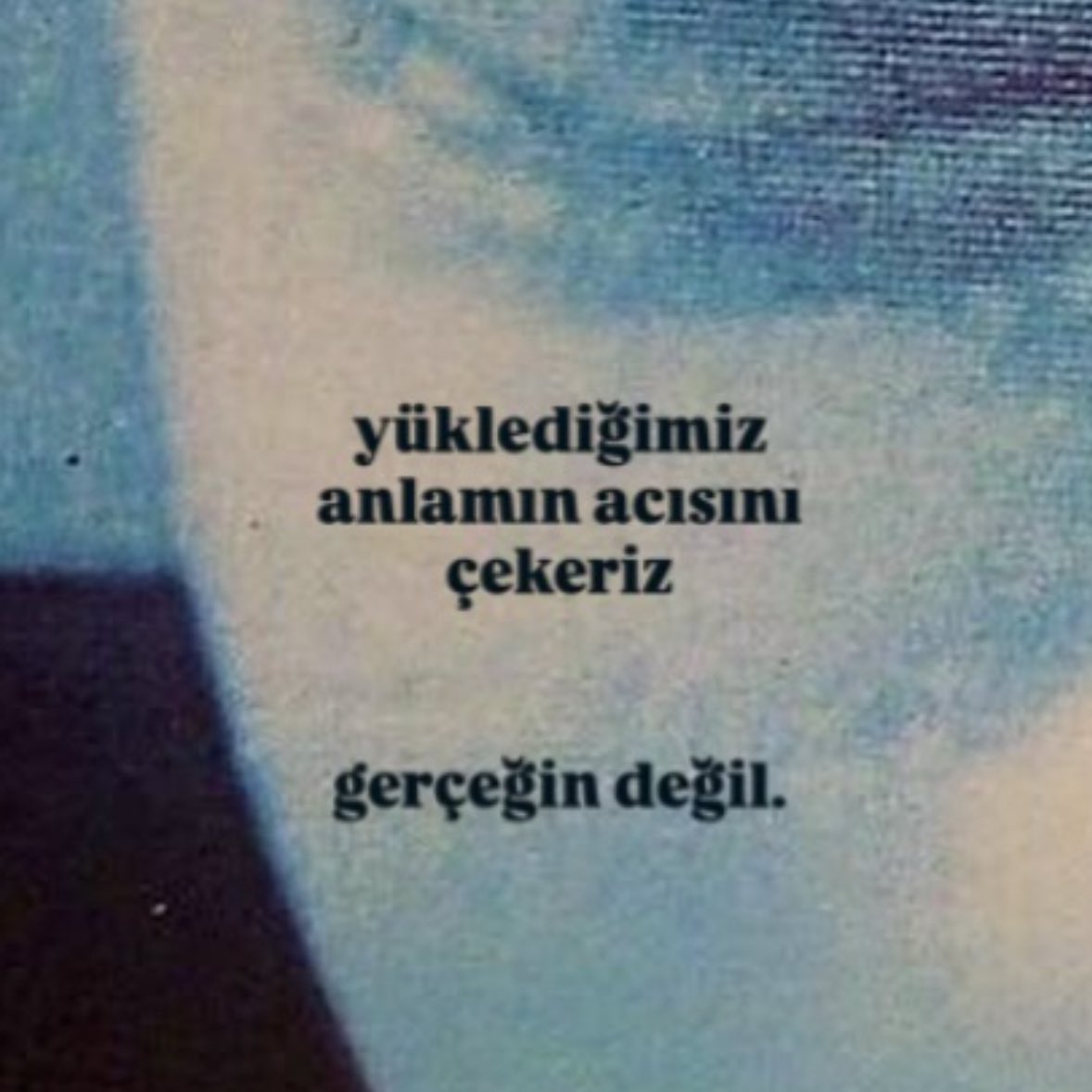 Ardıç Kuşu (@ardiskusu) on Twitter photo 