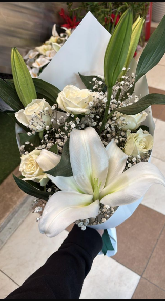 Youssef Moataz 🇵🇸 tweet media