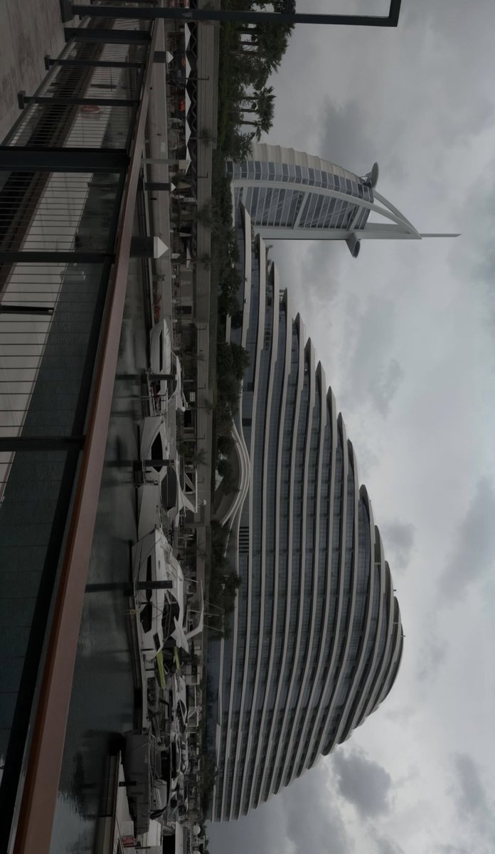 عائشة المري 💛 tweet media