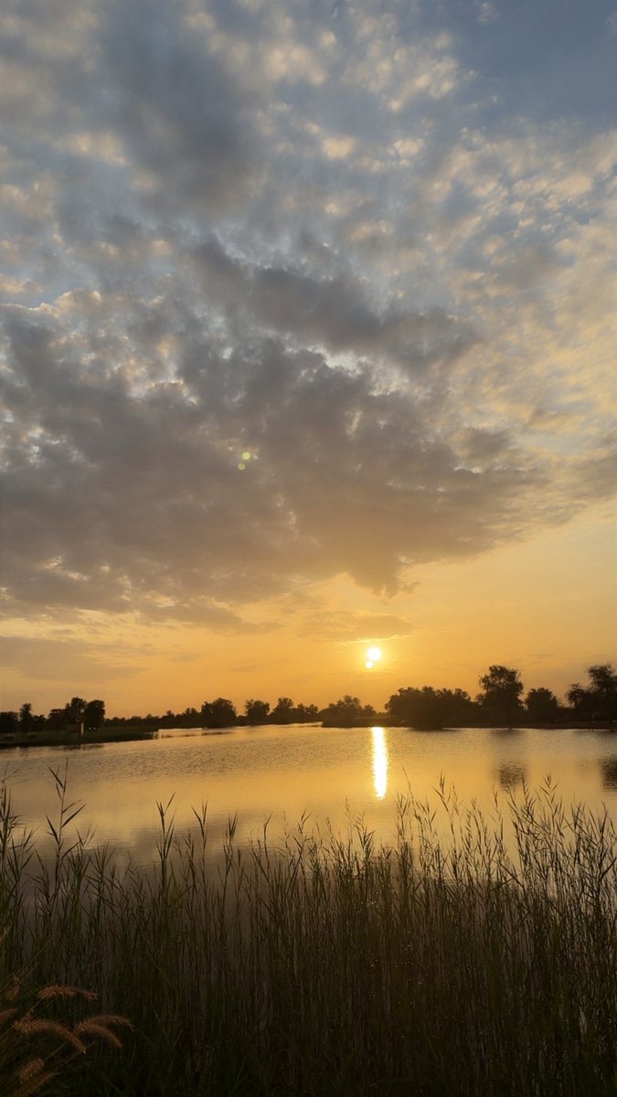 عائشة المري 💛 tweet media