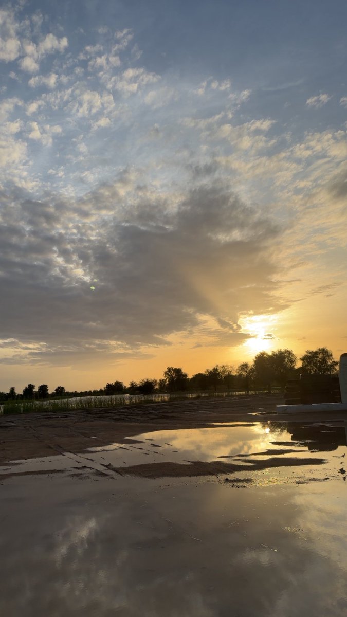 عائشة المري 💛 tweet media