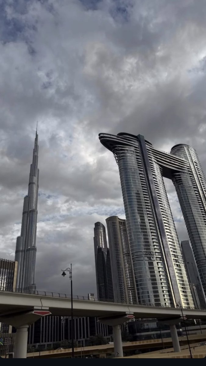 عائشة المري 💛 tweet media