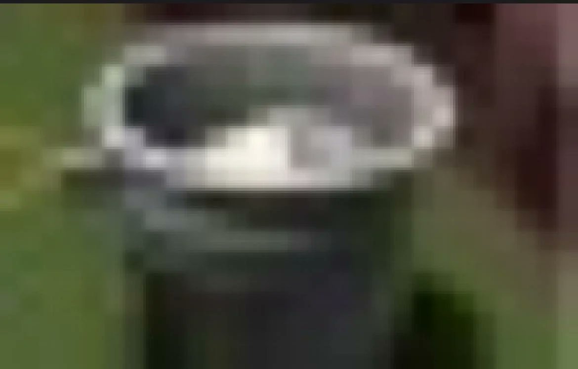 † lucia scarlet 🩸 tweet media