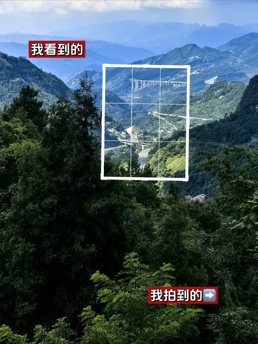 caroline dickson tweet media