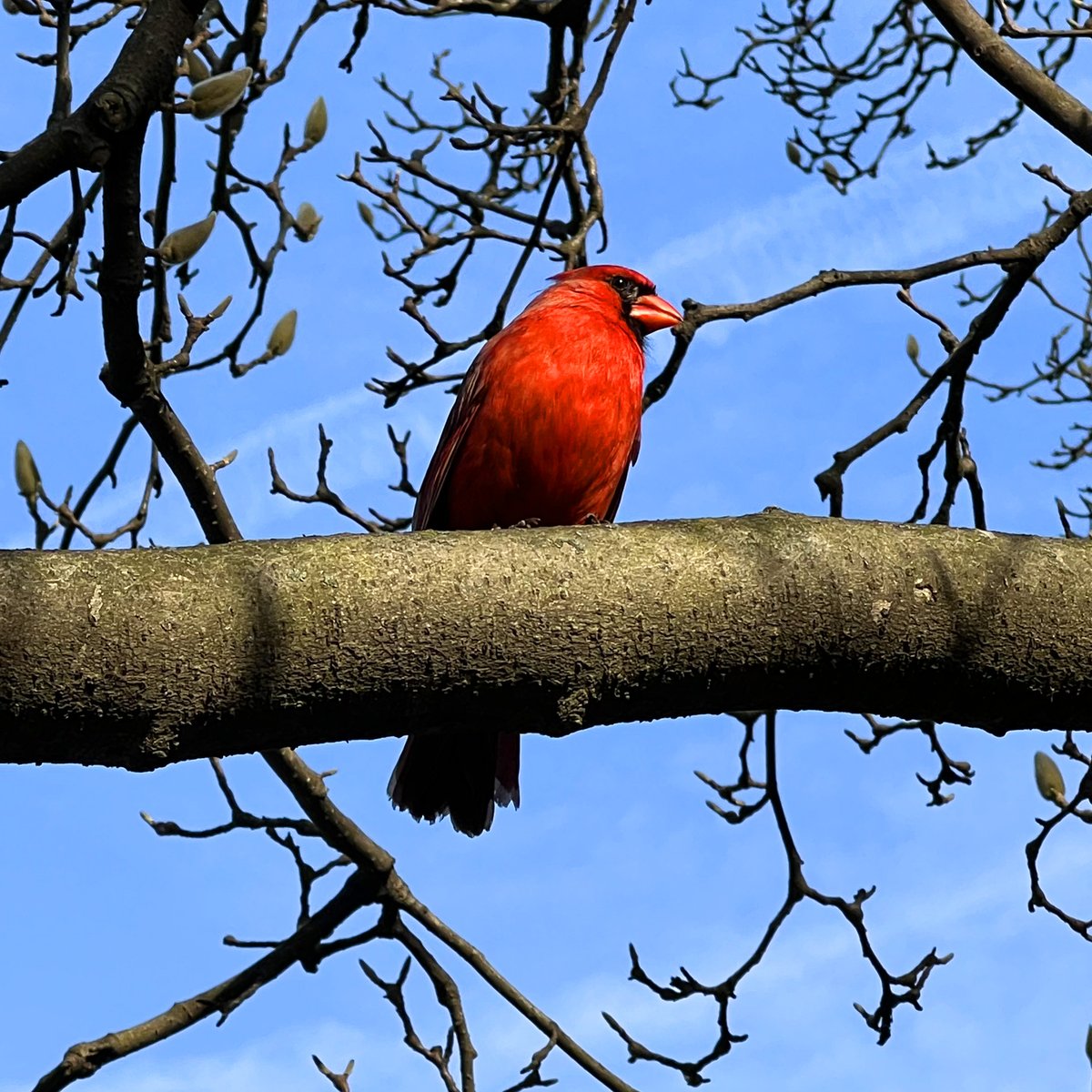 brice hammack tweet media