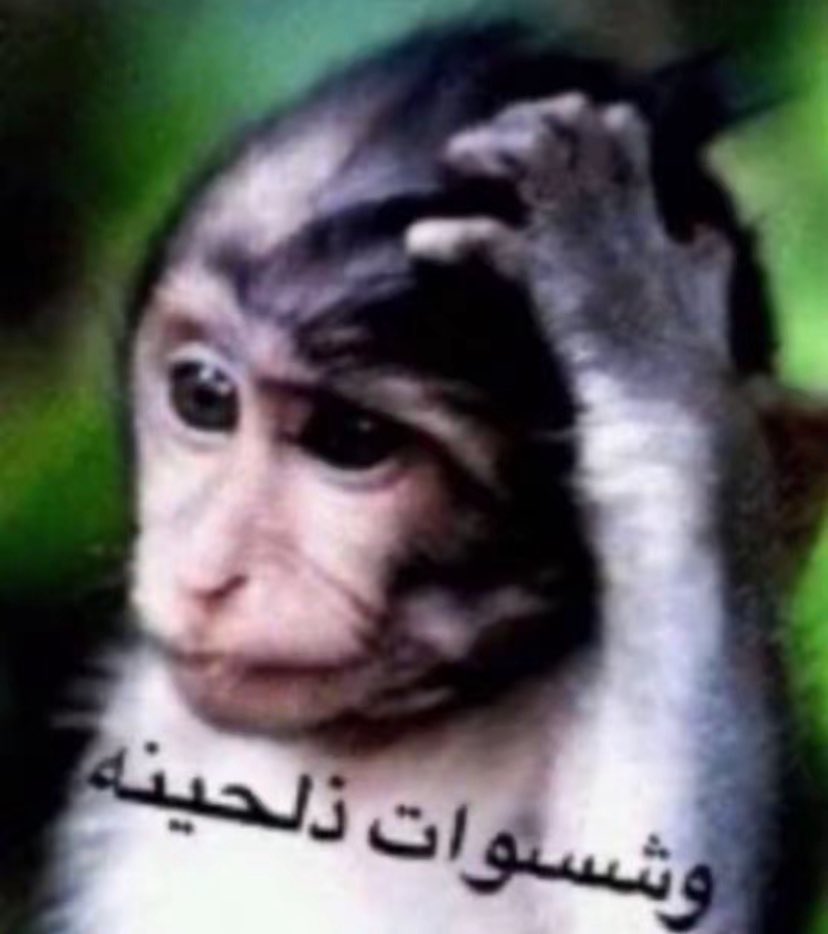 Abu Faisal tweet media