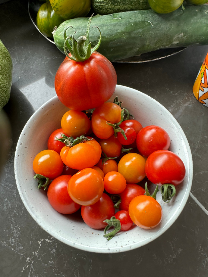 vladimir t quismorio tweet media