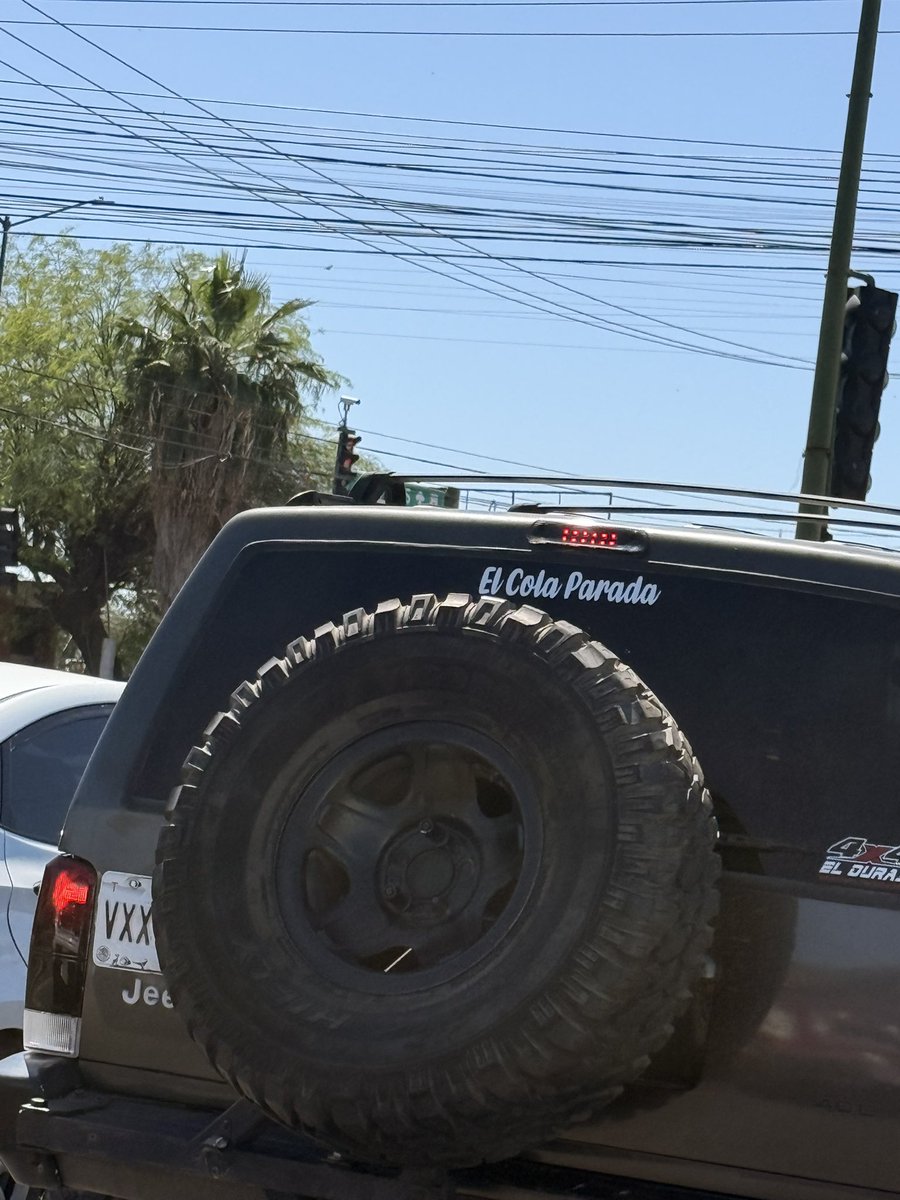 Saúl Madrigal tweet media