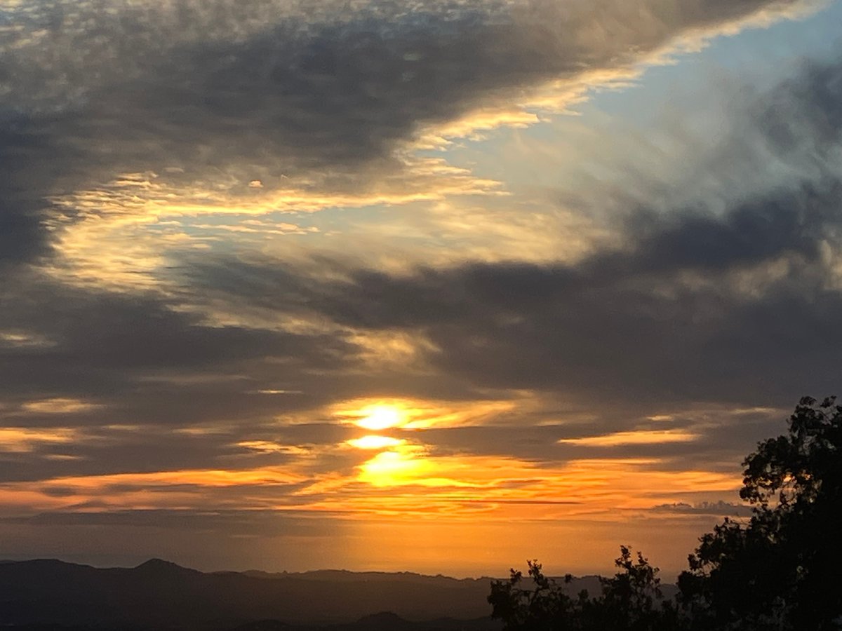 VeronicaSanders-Author* tweet media