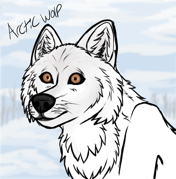 Wildwolfworks tweet media