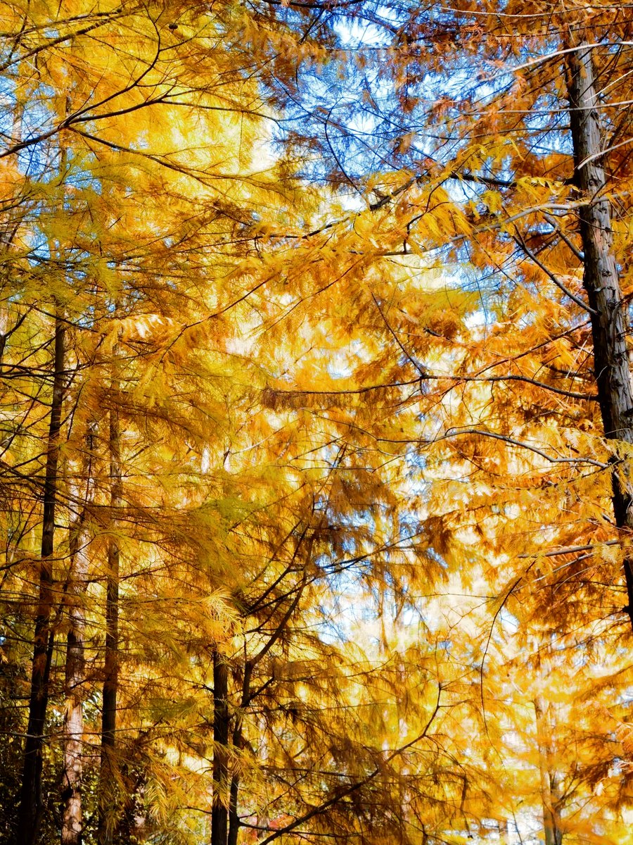 New Image Ent tweet media