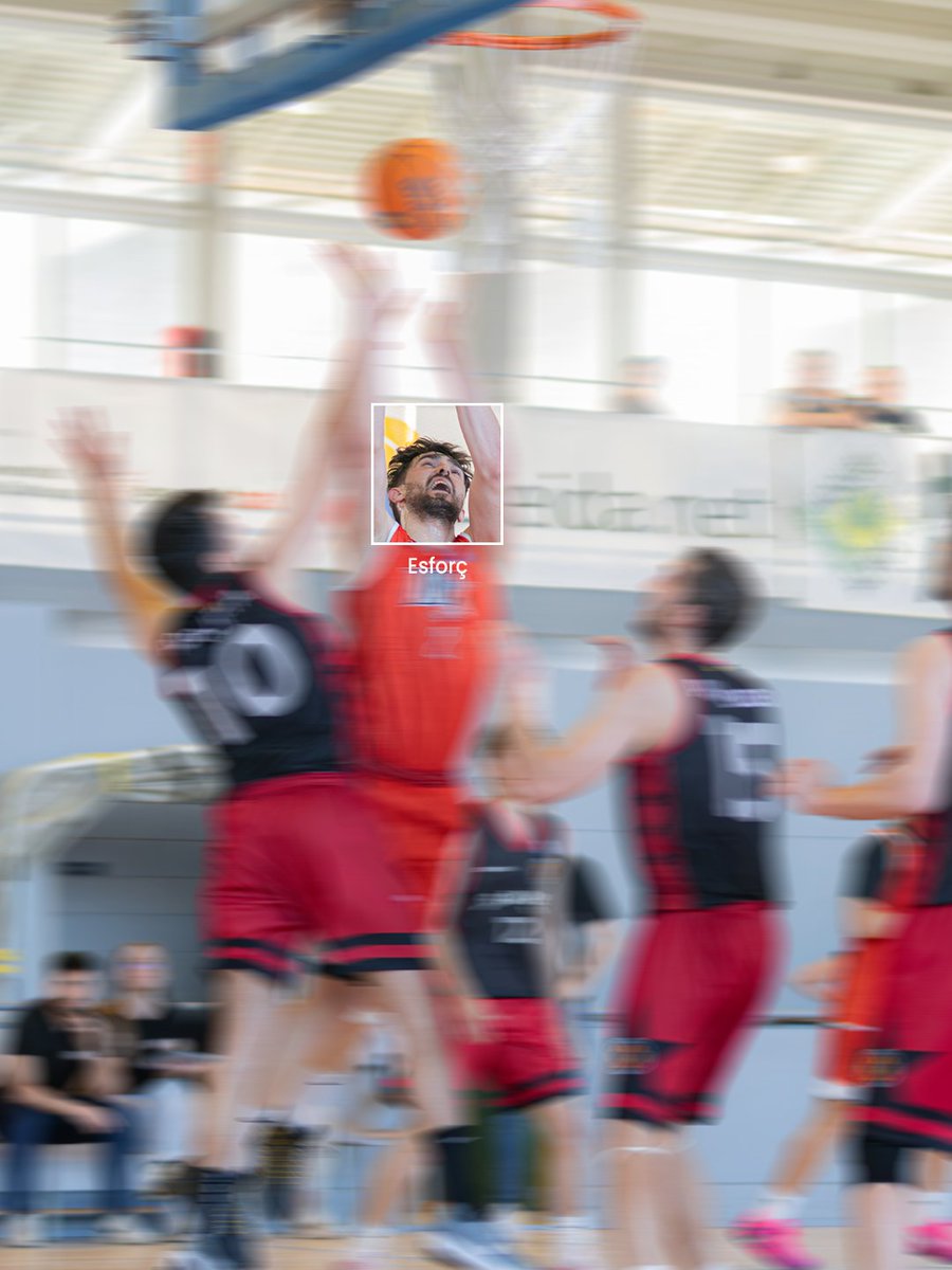 CbAlpicat tweet media