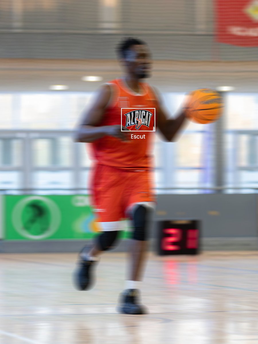 CbAlpicat tweet media