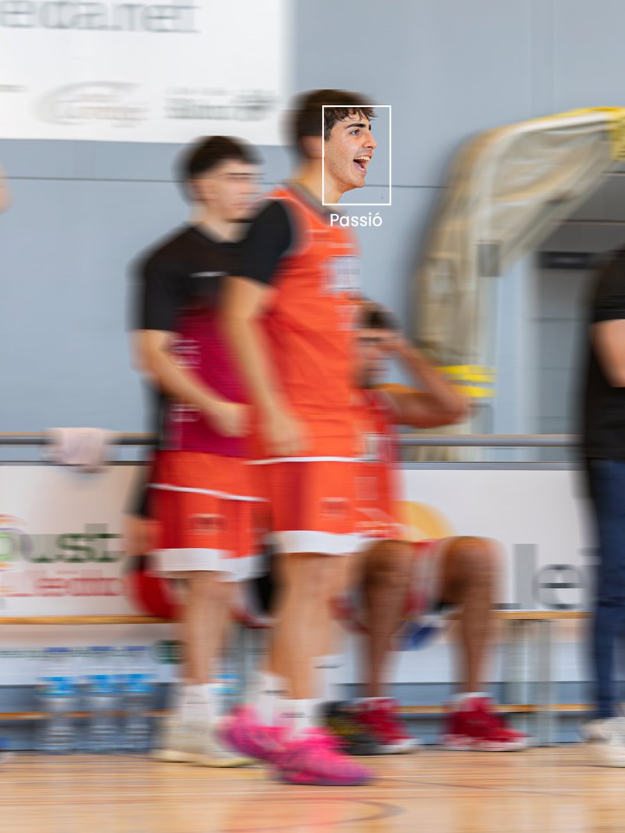 CbAlpicat tweet media