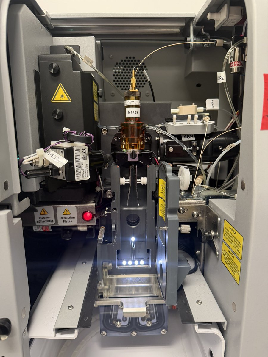 matilda ⟡ tweet media