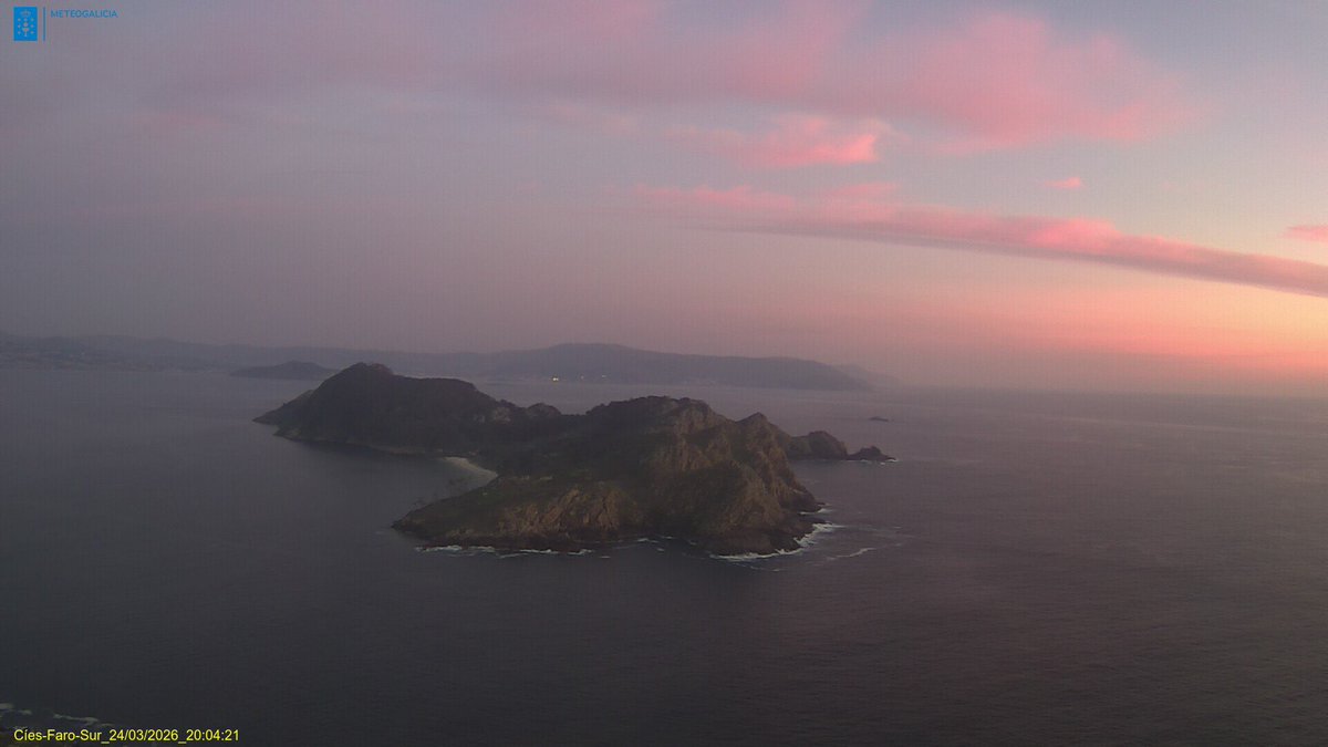 Torallamar tweet media