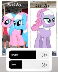 Chryssi Best Friend tweet media