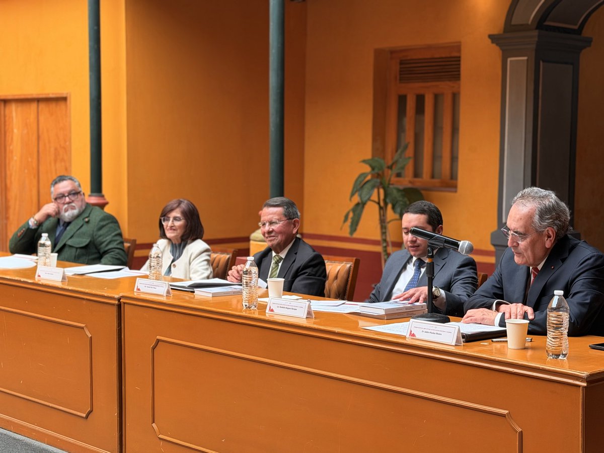 Inesle MX tweet media