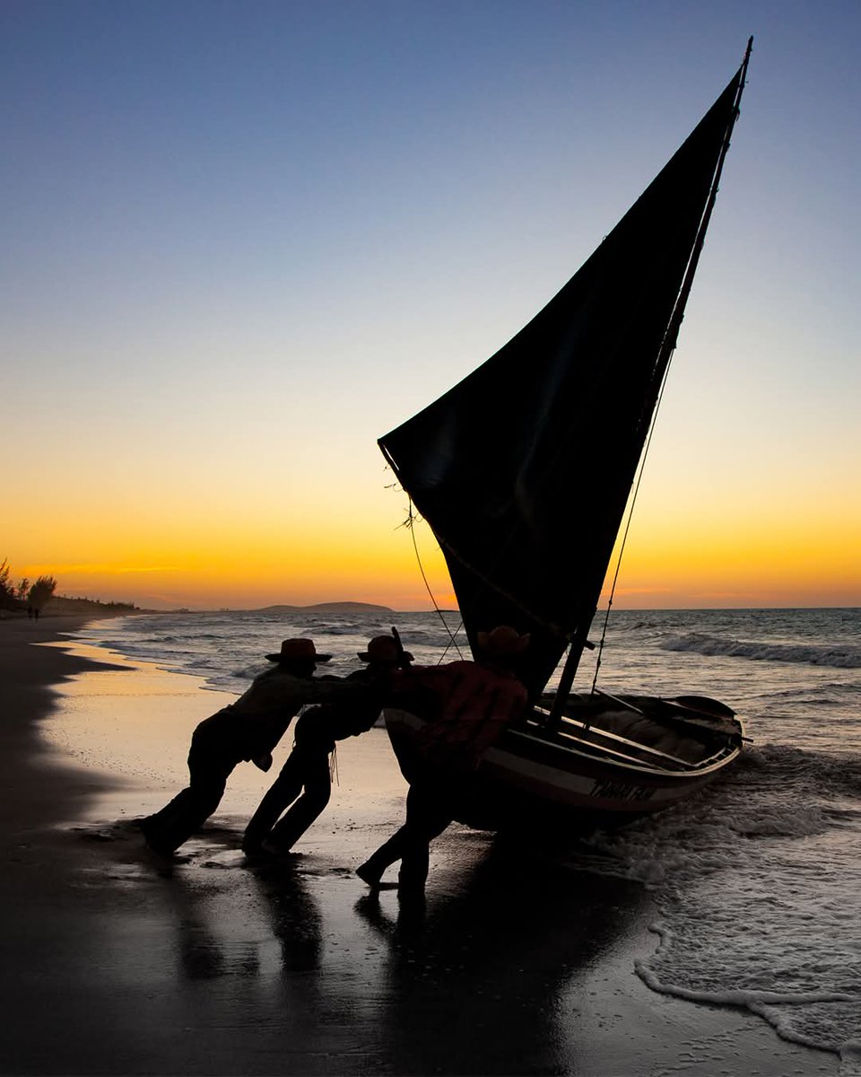 Mundo Nordeste 🌵☀️🌴 #LJSDV tweet media