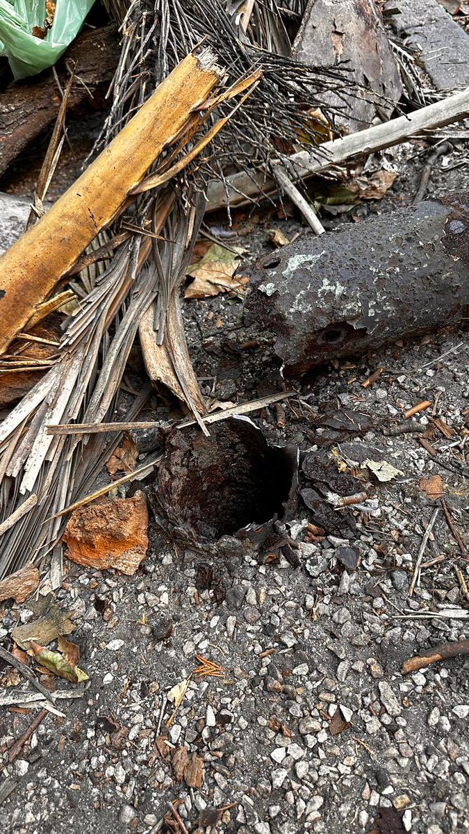 Eva Ayala tweet media