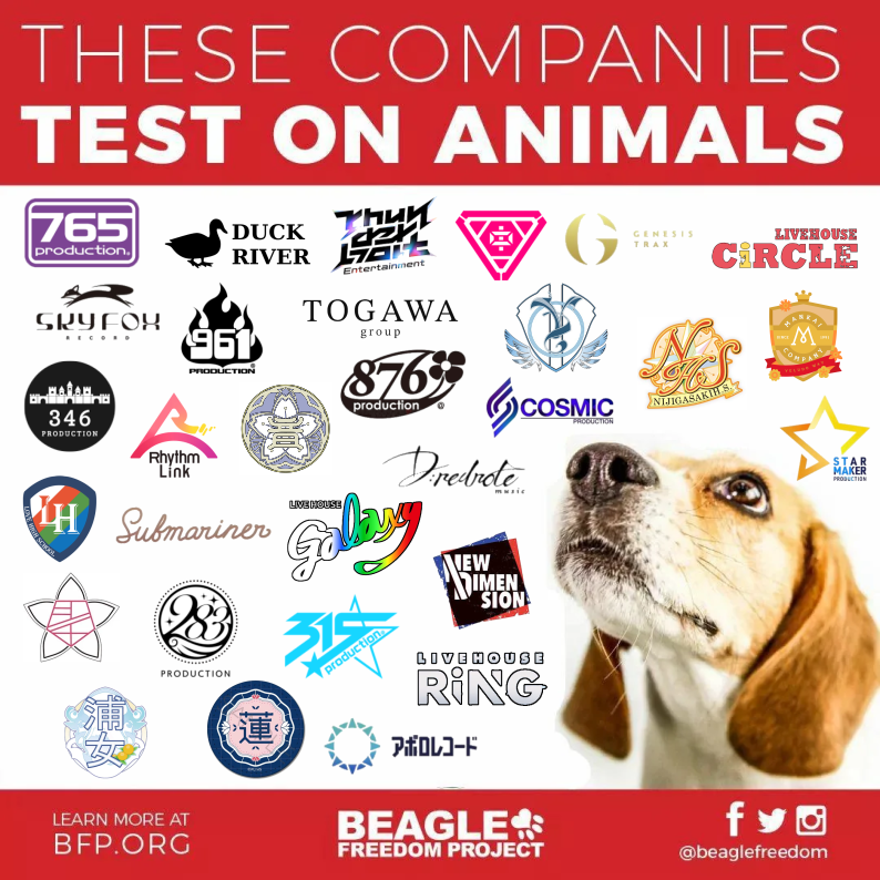 SUNNY PASSION'S BIGGEST FAN tweet media