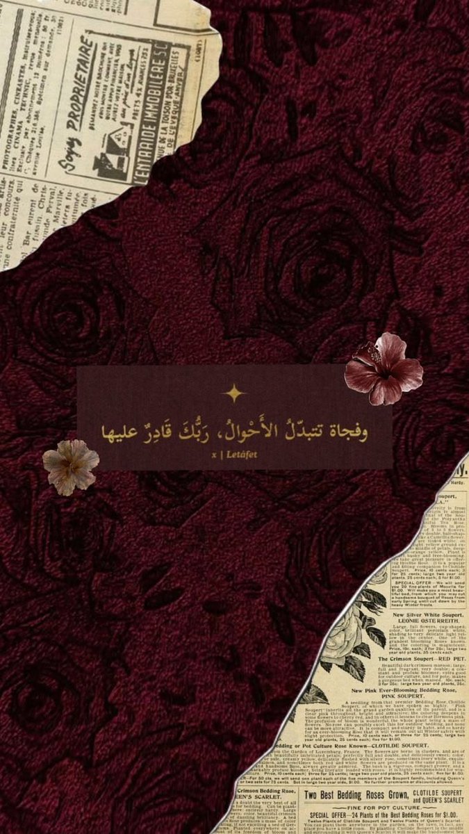 🐼 إلهام 🇩🇿 tweet media