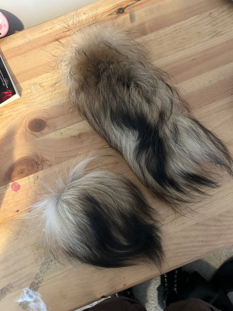 ⸝⸝ ⭑ Noah 𐂯 .ᐟ ⸝⸝ tweet media