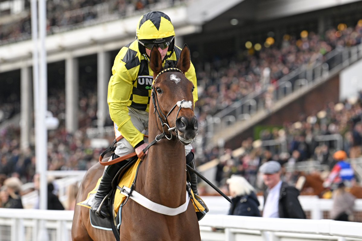 Jordan M. Blair Racing ☘️ tweet media