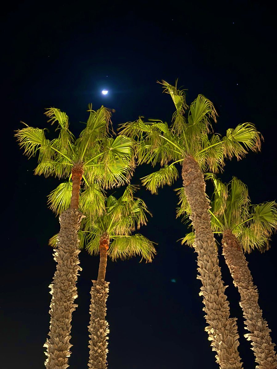 bobg611's tweet image. Around #H10oceansuites #corralejo lovely hotel.